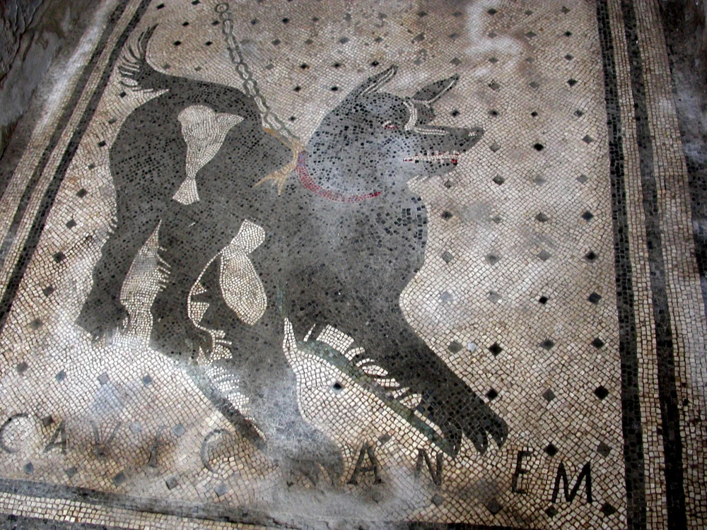Das schwarz-weiße Cave-Canem-Mosaik zeigt einen angeketteten Hund am Hauseingang.