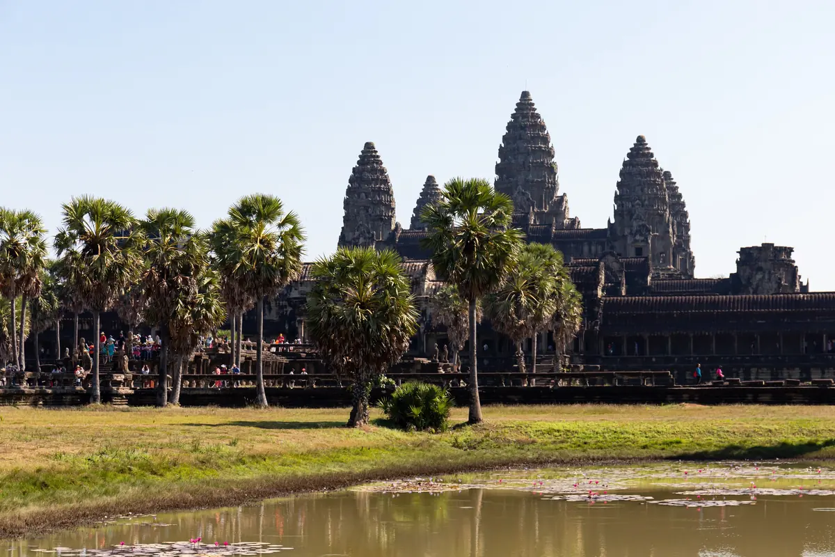 Angkor Wat heute, gesehen von Westen über den nördlichen Teich mit Seerosen, Zuckerpalmen vor der Westgalerie, die fünf Türme im Morgenlicht (Foto)